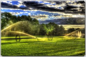 Morning irrigation (1)-c67.jpg
